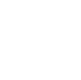The Onion logo white